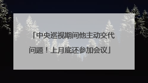 中央巡视期间他主动交代问题！上月底还参加会议