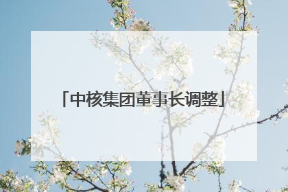 中核集团董事长调整