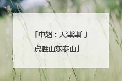 中超：天津津门虎胜山东泰山