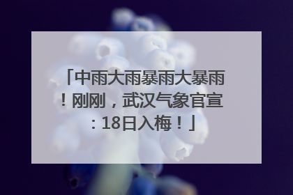 中雨大雨暴雨大暴雨！刚刚，武汉气象官宣：18日入梅！