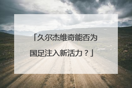 久尔杰维奇能否为国足注入新活力？