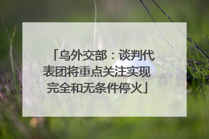 乌外交部：谈判代表团将重点关注实现完全和无条件停火
