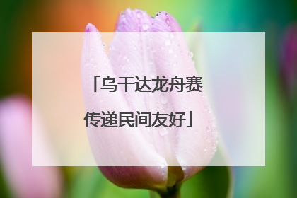 乌干达龙舟赛传递民间友好
