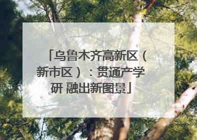 乌鲁木齐高新区（新市区）：贯通产学研 融出新图景