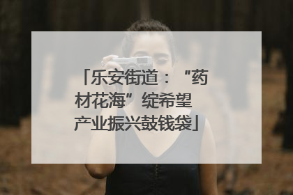 乐安街道：“药材花海”绽希望 产业振兴鼓钱袋