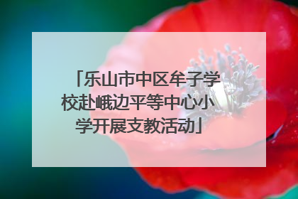 乐山市中区牟子学校赴峨边平等中心小学开展支教活动