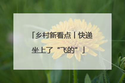 乡村新看点丨快递坐上了“飞的”