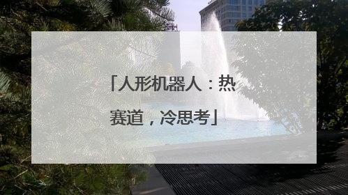 人形机器人：热赛道，冷思考