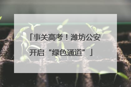 事关高考！潍坊公安开启“绿色通道”