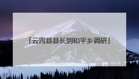 云霄县县长到和平乡调研