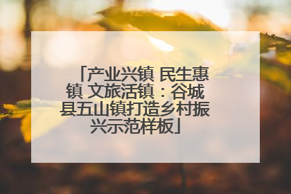 产业兴镇 民生惠镇 文旅活镇：谷城县五山镇打造乡村振兴示范样板