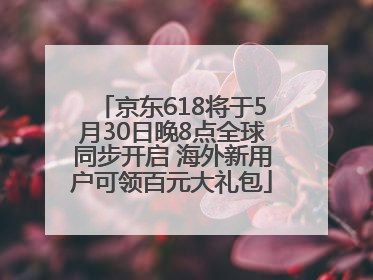 京东618将于5月30日晚8点全球同步开启 海外新用户可领百元大礼包
