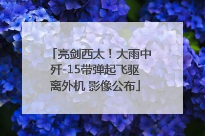 亮剑西太！大雨中歼-15带弹起飞驱离外机 影像公布