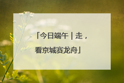 今日端午｜走，看京城赛龙舟