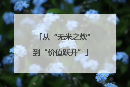 从“无米之炊”到“价值跃升”