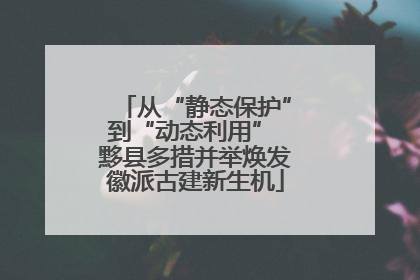 从“静态保护”到“动态利用” 黟县多措并举焕发徽派古建新生机
