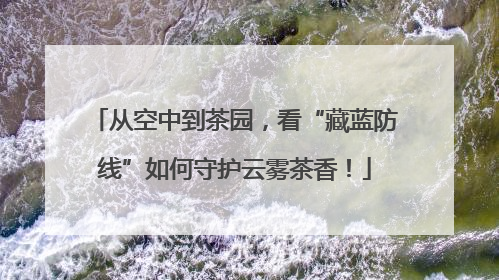 从空中到茶园，看“藏蓝防线”如何守护云雾茶香！
