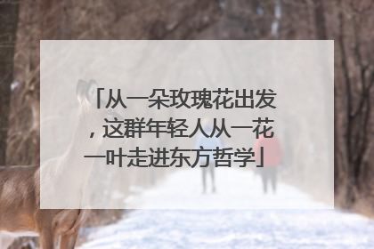 从一朵玫瑰花出发，这群年轻人从一花一叶走进东方哲学