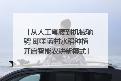 从人工弯腰到机械驰骋 即墨蓝村水稻种植开启智能农耕新模式