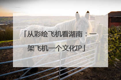 从彩绘飞机看湖南：一架飞机一个文化IP