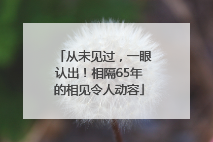 从未见过，一眼认出！相隔65年的相见令人动容