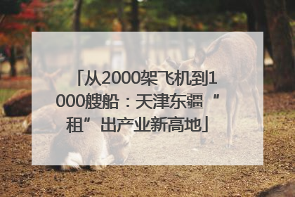 从2000架飞机到1000艘船：天津东疆“租”出产业新高地