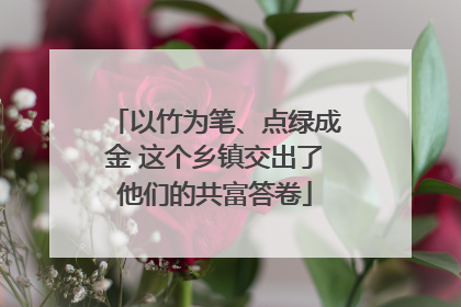 以竹为笔、点绿成金 这个乡镇交出了他们的共富答卷
