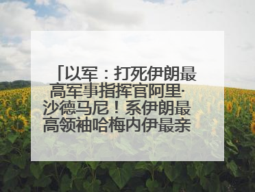以军：打死伊朗最高军事指挥官阿里·沙德马尼！系伊朗最高领袖哈梅内伊最亲密的人之一