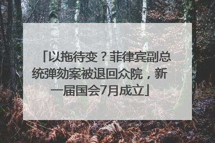 以拖待变？菲律宾副总统弹劾案被退回众院，新一届国会7月成立