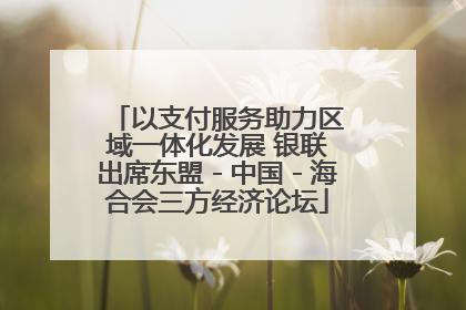 以支付服务助力区域一体化发展 银联出席东盟－中国－海合会三方经济论坛