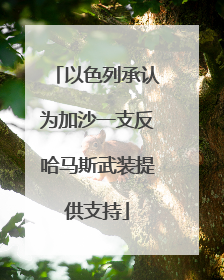 以色列承认为加沙一支反哈马斯武装提供支持