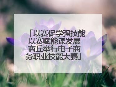 以赛促学强技能 以赛赋能谋发展 商丘举行电子商务职业技能大赛