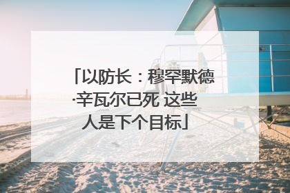 以防长：穆罕默德·辛瓦尔已死 这些人是下个目标