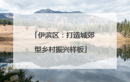 伊滨区：打造城郊型乡村振兴样板