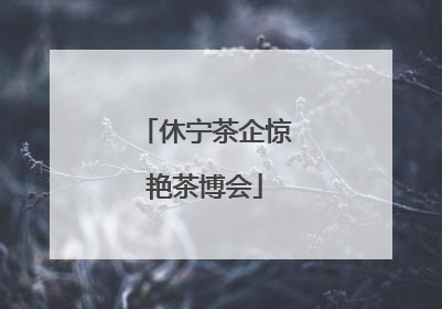 休宁茶企惊艳茶博会