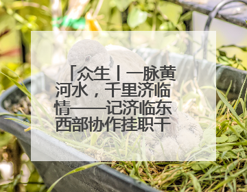 众生丨一脉黄河水，千里济临情——记济临东西部协作挂职干部陈姗姗