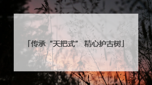 传承“天把式” 精心护古树