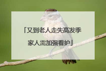 又到老人走失高发季 家人需加强看护