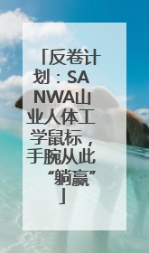 反卷计划：SANWA山业人体工学鼠标，手腕从此“躺赢”
