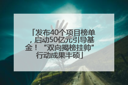 发布40个项目榜单，启动50亿元引导基金！“双向揭榜挂帅”行动成果丰硕