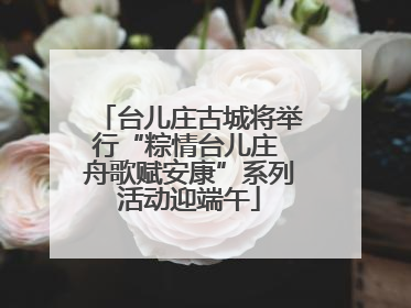 台儿庄古城将举行“粽情台儿庄 舟歌赋安康”系列活动迎端午