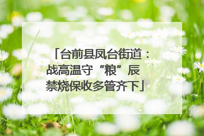 台前县凤台街道：战高温守“粮”辰 禁烧保收多管齐下
