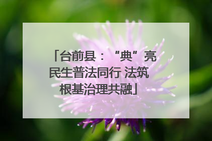 台前县：“典”亮民生普法同行 法筑根基治理共融