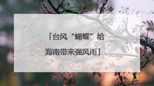 台风“蝴蝶”给海南带来强风雨