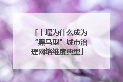 十堰为什么成为“黑马型”城市治理网络维度典型