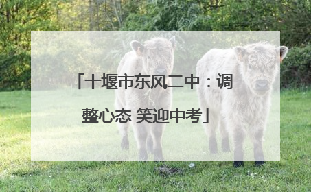 十堰市东风二中：调整心态 笑迎中考