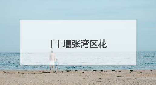 十堰张湾区花果街道开展“东风故里育新风”品牌宣讲活动