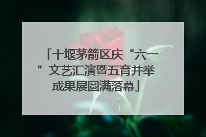 十堰茅箭区庆“六一”文艺汇演暨五育并举成果展圆满落幕