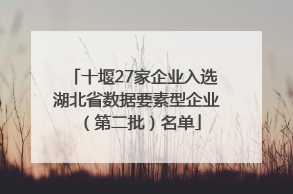 十堰27家企业入选湖北省数据要素型企业（第二批）名单