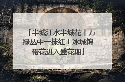 半城江水半城花丨万绿丛中一抹红！冰城锦带花进入盛花期